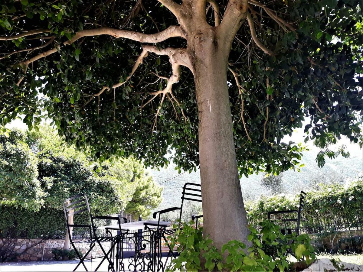 Luxury Country House In Kalamata / Sp Exteriér fotografie